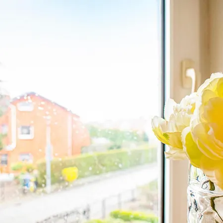 Lovely In With Kitchen Apartment *